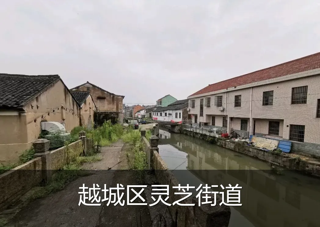 越城区灵芝街道